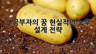 연금부자의 꿈, 현실적인 노후 설계 전략