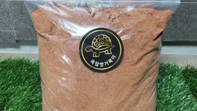반구점토거북 후기: 득템할 수 있는 기회를 놓치지 마세요! 🥰